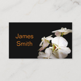 nature white orchids flower photography business card