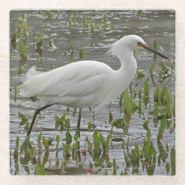 Nature White Wading Bird Photo Large Egret Glass Coaster (Front)