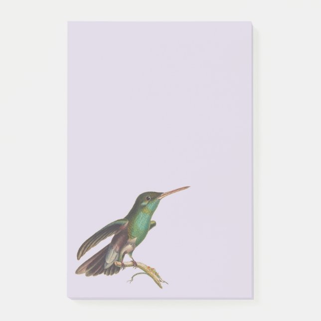 Nature Wild Birds Hummingbird  Post-it Notes (Front)