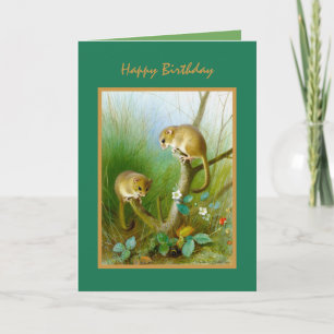 Nature Wild Life Cute Animals Happy Birthday Card