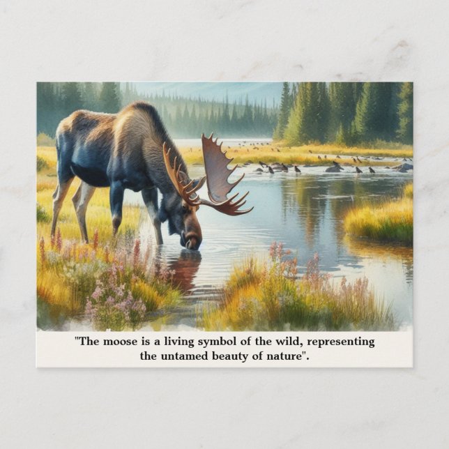 Nature Wildlife Moose with Quote  Postcard (Front)