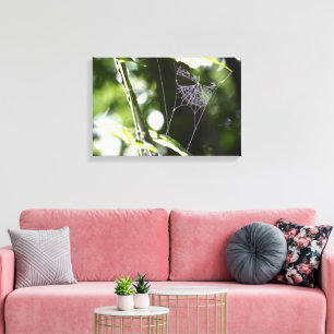 Nature Wildlife Outdoor Spider Web Photography Art Canvas Print