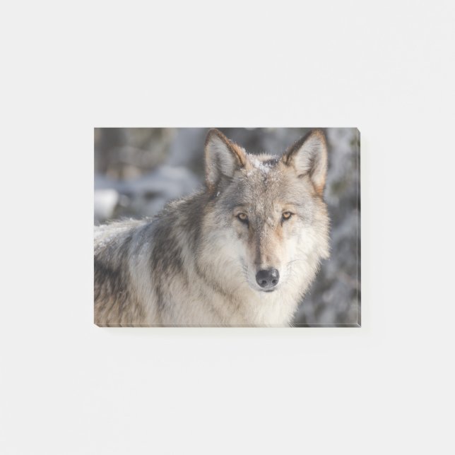 Nature & Wolf Design Post-it Notes (Front)