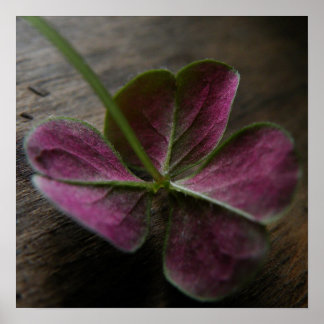 'naturelovesyou' Canvas Print