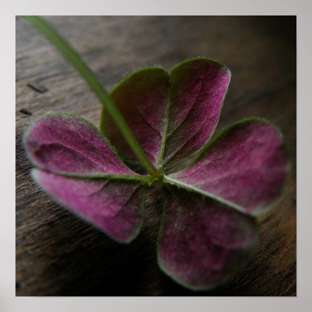 'naturelovesyou' Canvas Print (Front)