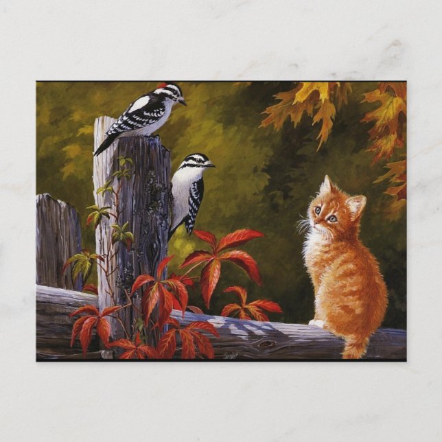 Natures Animals Postcard (Front)