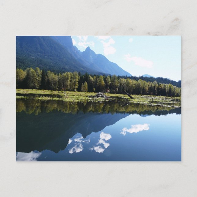 Nature's Beauty Reflected Postcard (Front)