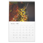 Nature's beauty: Small Sights