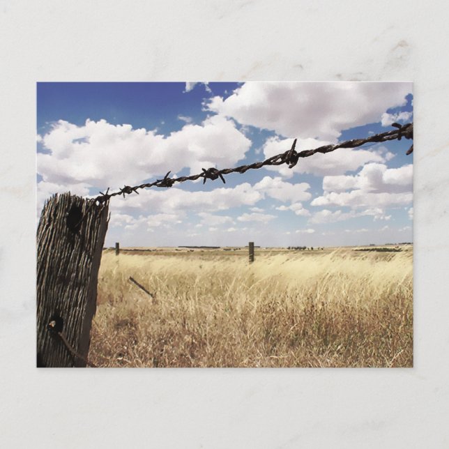 Nature's Boundaries Postcard (Front)