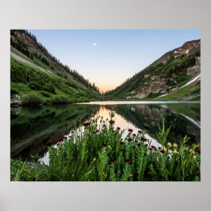 Natures Bouquet // Floral Foreground Poster