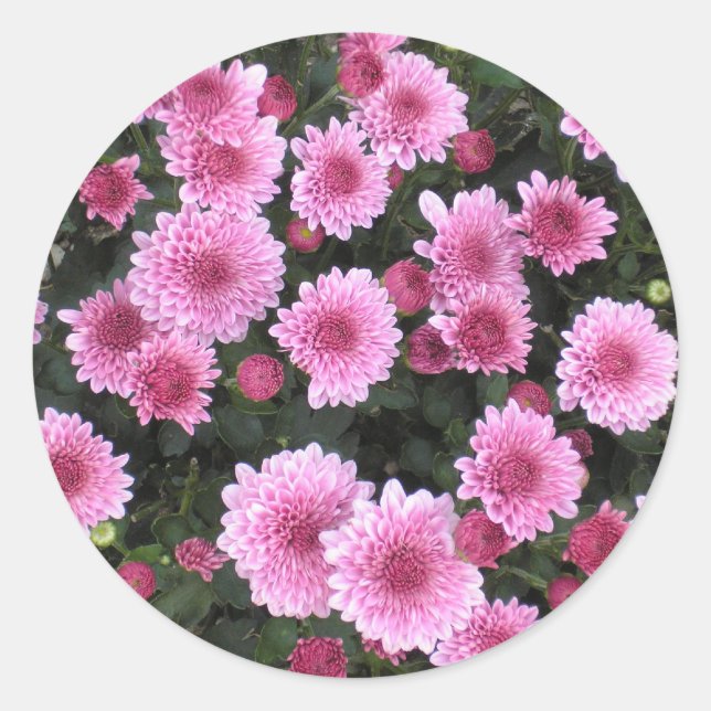 Nature's Bouquet: Spring sticker (Front)