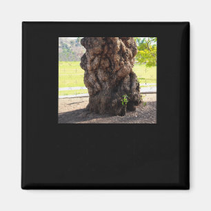 Nature's Bumpy Tree Sticker  Magnet