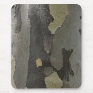 Nature's Camouflage -Sycamore Bark mousepad