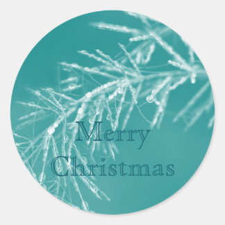 Natures Christmas Decorations Classic Round Sticker