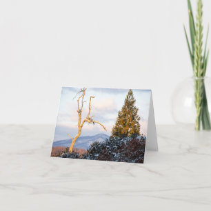 Nature's Christmas Tree Note Card