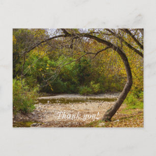 Natures Circle Postcard