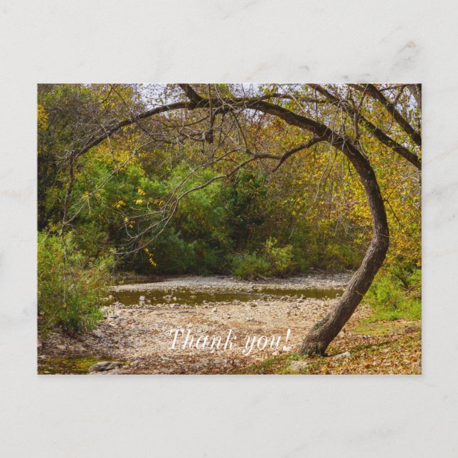 Natures Circle Postcard (Front)