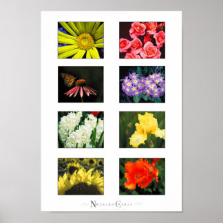 Natures Colours Poster
