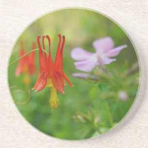 Nature's Crown Coaster