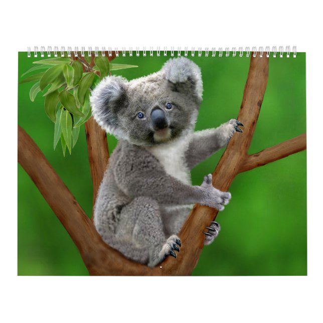 Nature's Cutest Monthly Calendar (Cover)