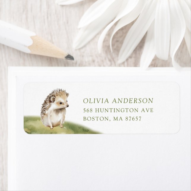 Nature's Delight Baby Shower Hedgehog (Insitu)
