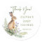 Nature's Delight Rabbit Baby Shower