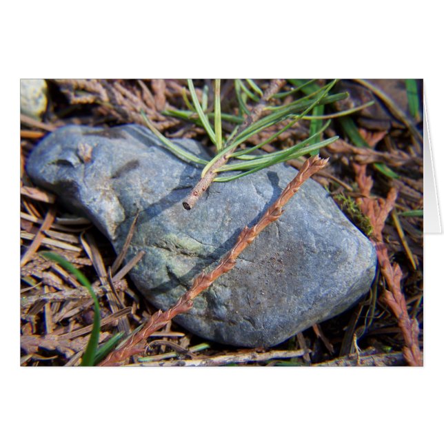 Natures Elements (Front Horizontal)