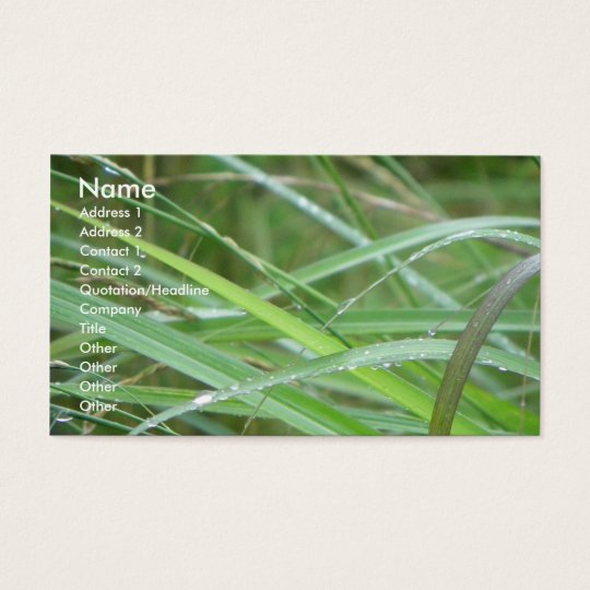 Nature's Episode/ Business Card