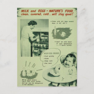 Nature's Food - Vintage Postcard