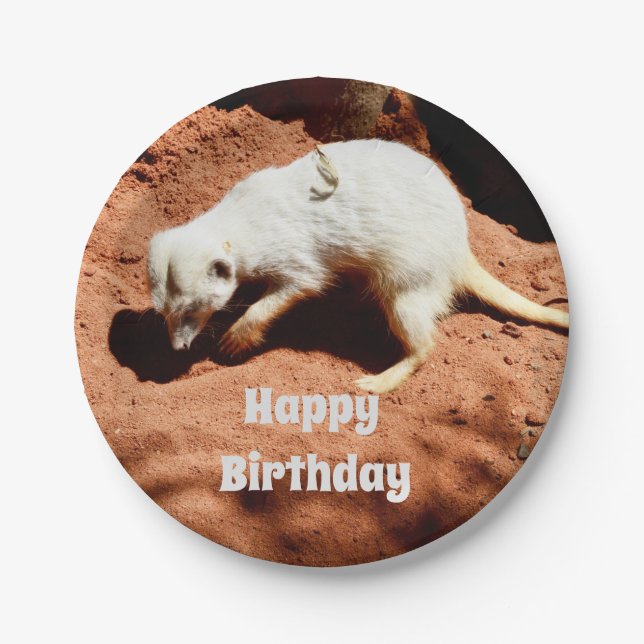 Nature's Forager: White Meerkat Digging for Bugs Paper Plate (Front)
