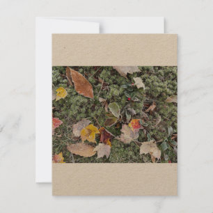 Natures frost, Flat Note Card