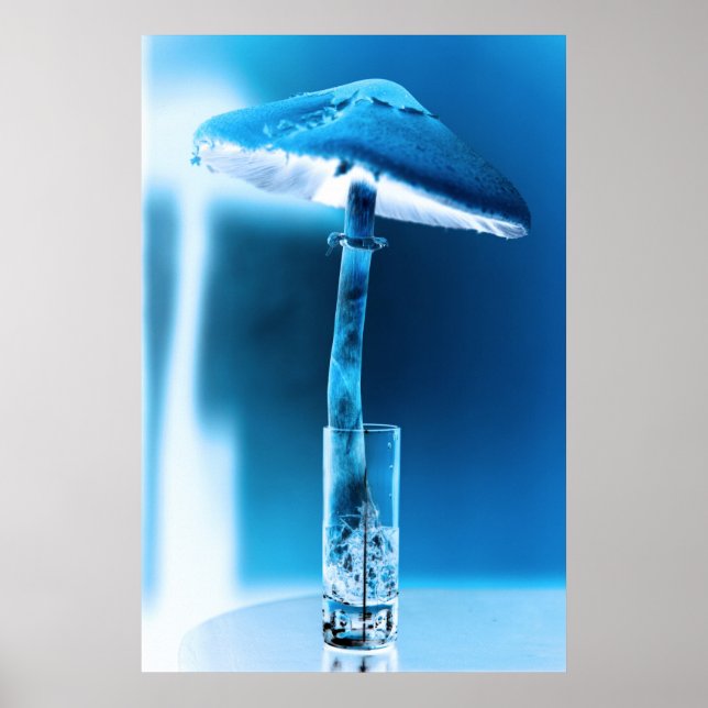 Nature's Funky Light Poster (Front)