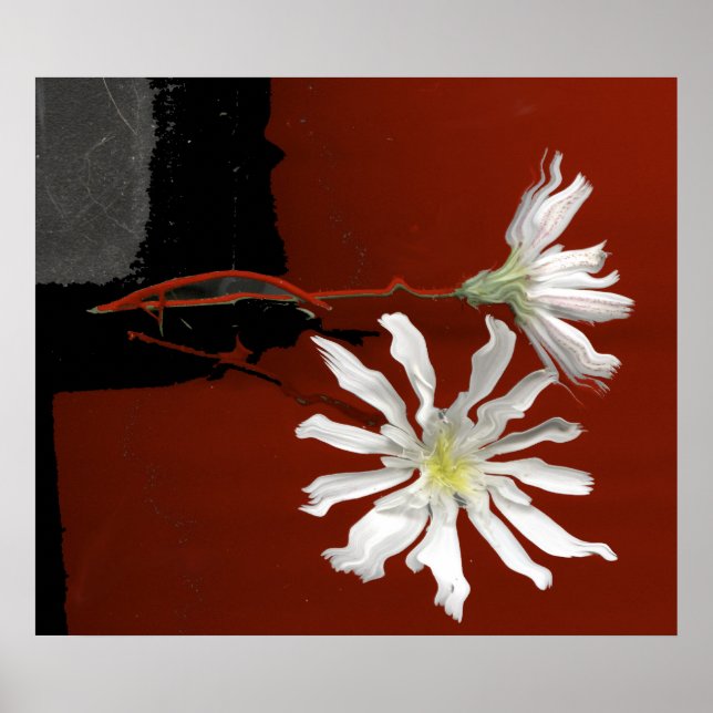 NATURES GIFTS POSTER (Front)