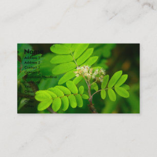 Natures Glory   Business Card