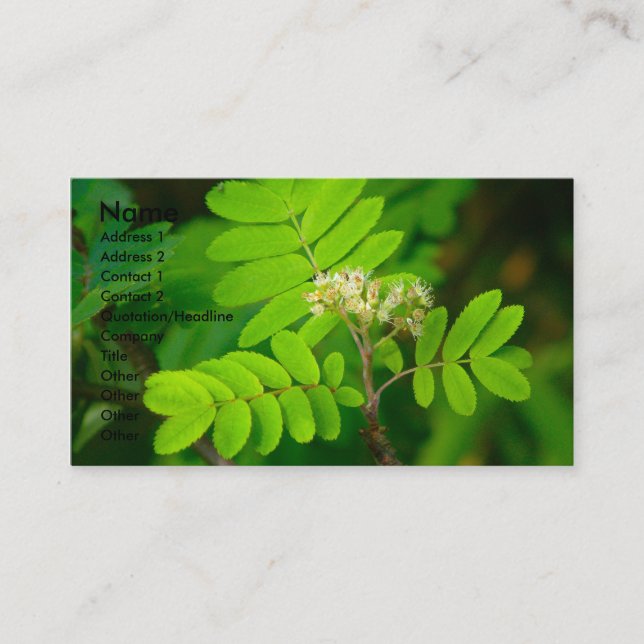 Natures Glory | Business Card (Front)