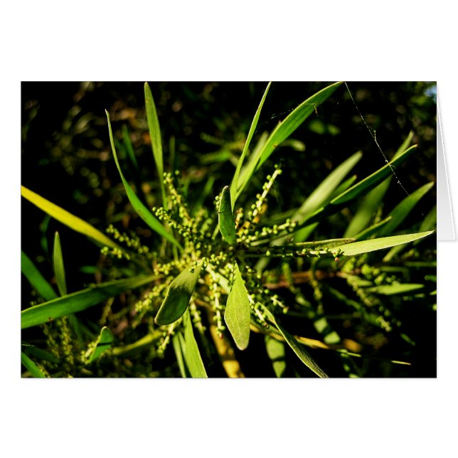 nature's green Card (Front Horizontal)