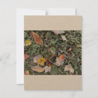 Natures hard frost, Flat Note Card