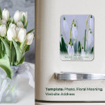 Nature's Lesson: Snowdrop Educational Fridge Magnet<br><div class="desc">Bring the beauty of nature to your kitchen with our Educational Fridge Magnet featuring a captivating closeup of a field of snowdrops. This customisable magnet offers more than just a visual treat—it's a mini lesson in botany. In the centre bottom, discover the delicate beauty of snowdrops with the flower's name...</div>