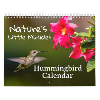 Nature's Little Miracles Hummingbirds Calendar