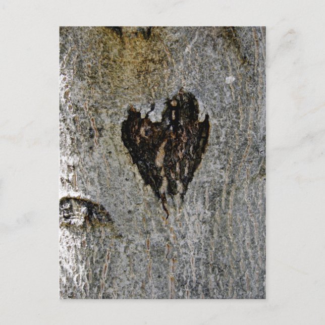 Nature's Love Postcard (Front)