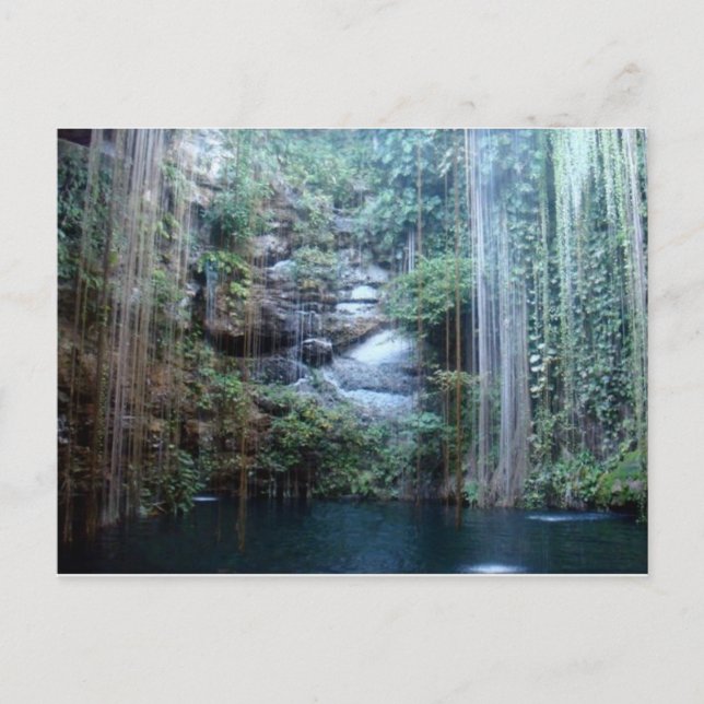 Nature's Masterpiece Postcard (Front)