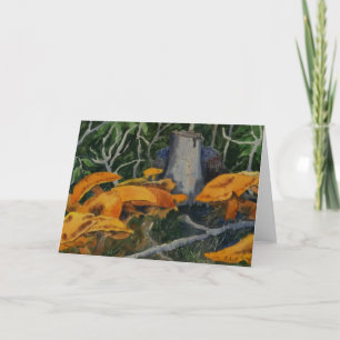 Nature's Oddities Greeting Card