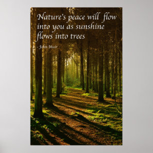 'Nature's peace will flow into you' J Muir quote Poster