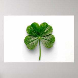 Nature's Perfection: The Symmetry of a Leaf Poster