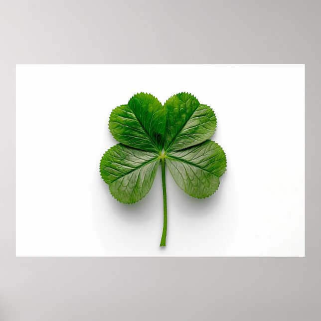 Nature's Perfection: The Symmetry of a Leaf Poster (Front)