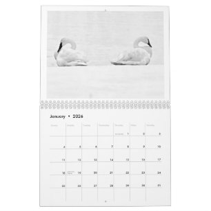 Nature's Perspectives - 2026 Wall Calendar