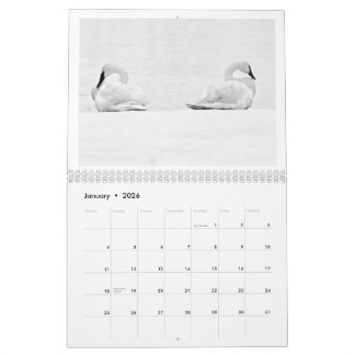 Nature's Perspectives - 2026 Wall Calendar