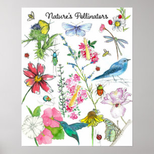 Natures Pollinators Honeybee Birds Insects Flowers Poster