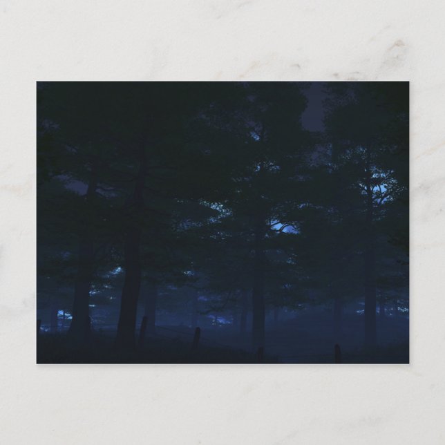 Nature's Secret Postcards (Front)