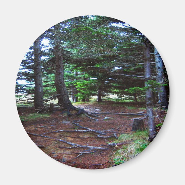 Nature's Stairway Magnet (Front)